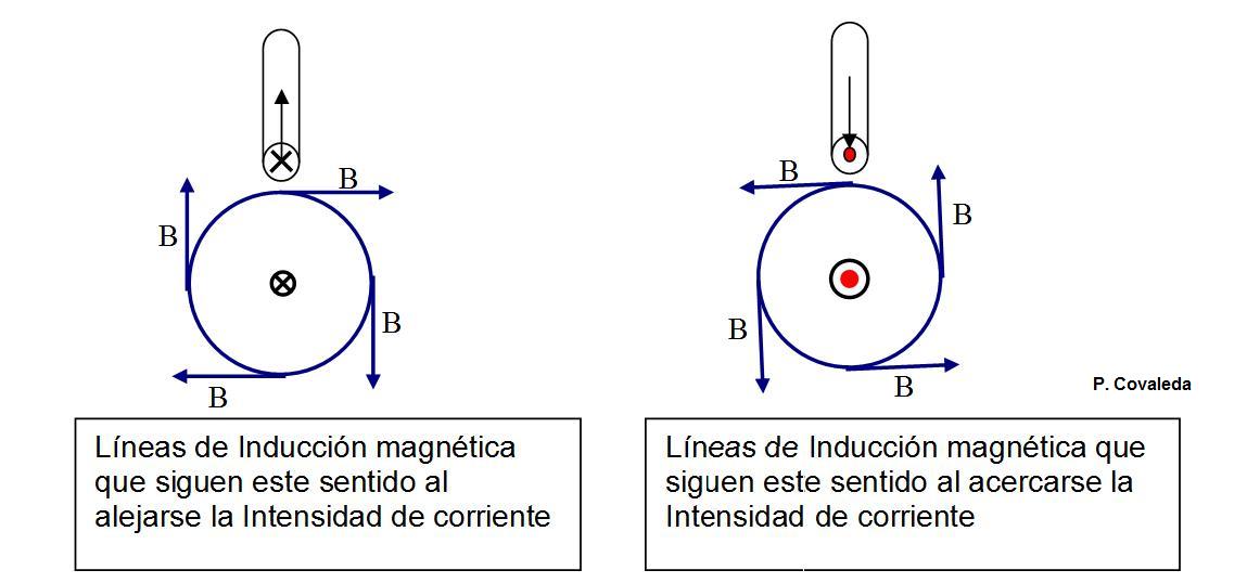 FISICA SECUNDARIA EXPERIMENTO DE OERSTED REGLA DE LA MANO, 51% OFF